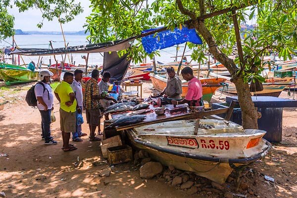 Fish Market in Galle