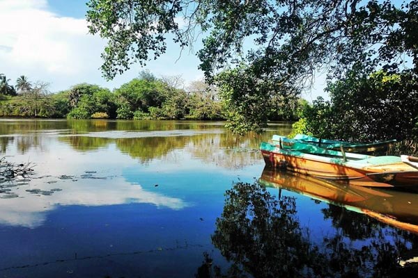 Walawe River Safari