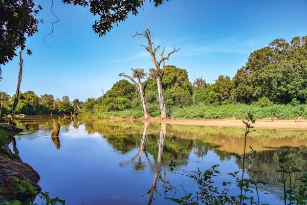 Walawe River