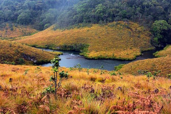 Horton Plains