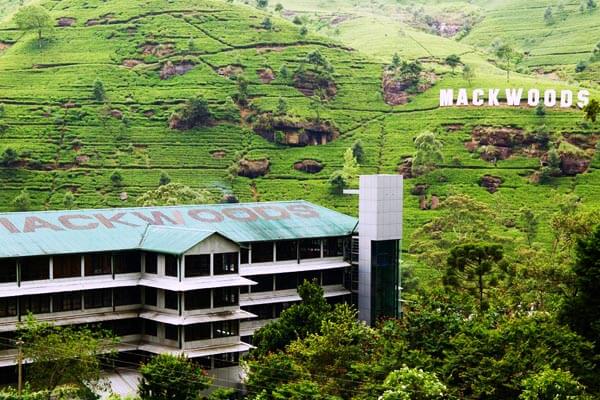 Tea Factory