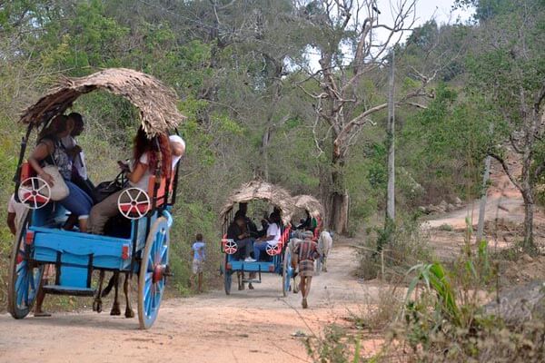 Village Tour